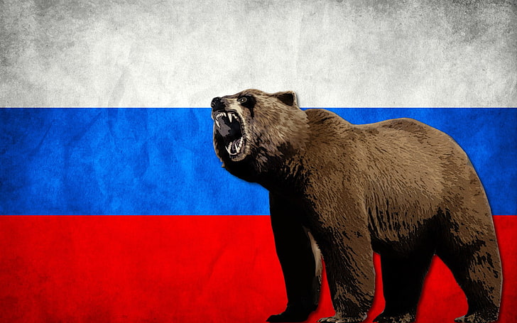 russian bear